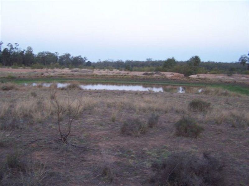Kogan QLD 4406