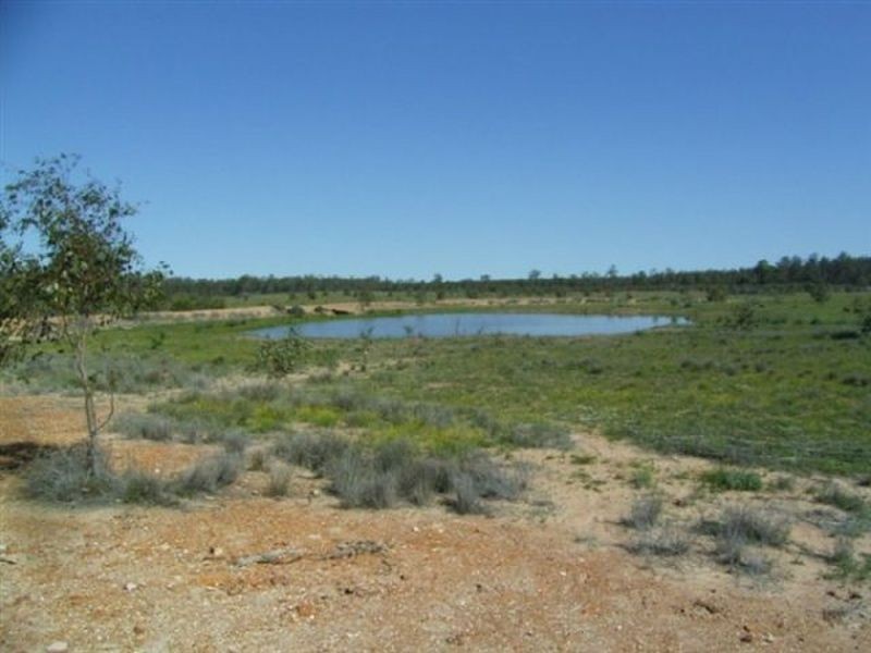 Kogan QLD 4406