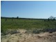 Kogan QLD 4406