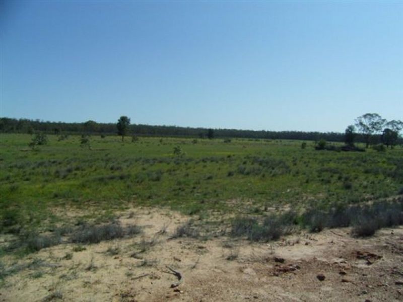 Kogan QLD 4406