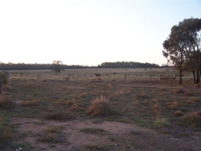 Kogan QLD 4406