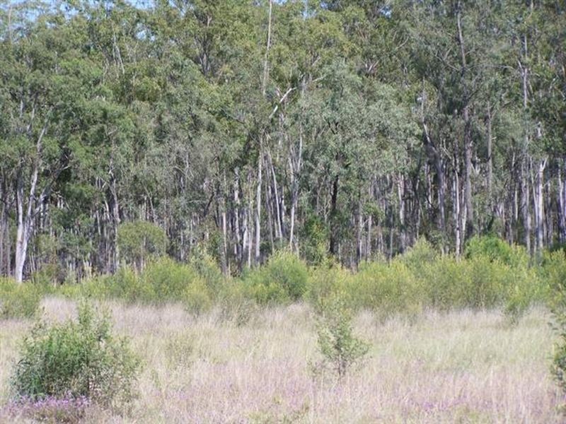 Kogan QLD 4406