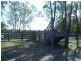 Kogan QLD 4406