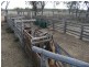 Cecil Plains QLD 4407