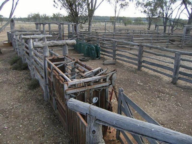 Cecil Plains QLD 4407