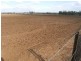 Cecil Plains QLD 4407