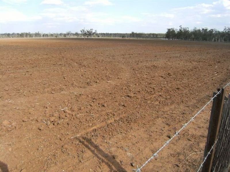 Cecil Plains QLD 4407