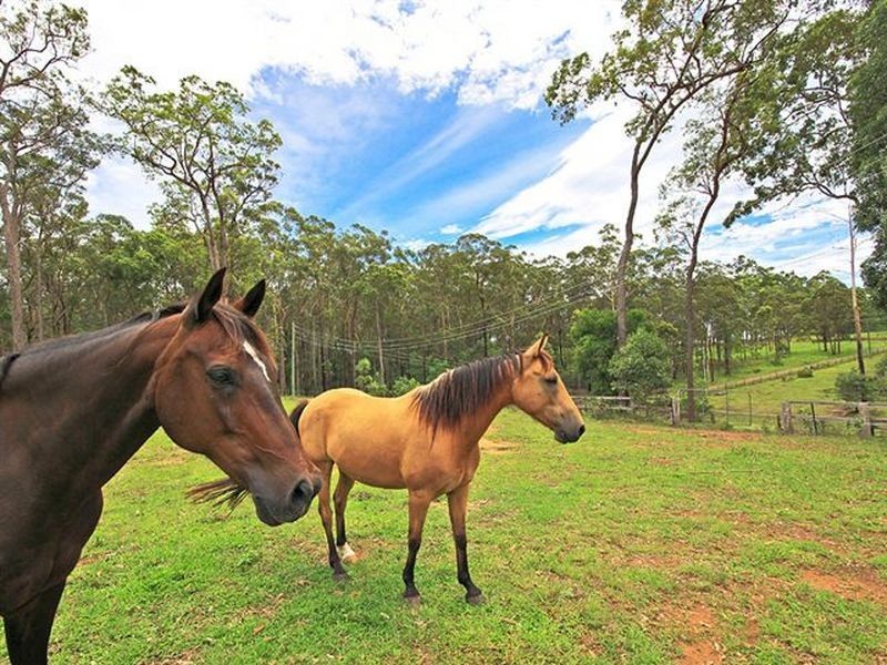 47 Derrick Rd, Wamuran QLD 4512