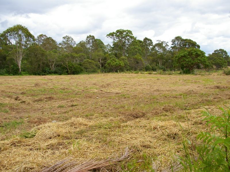 45 Buchanan Road, Morayfield QLD 4506