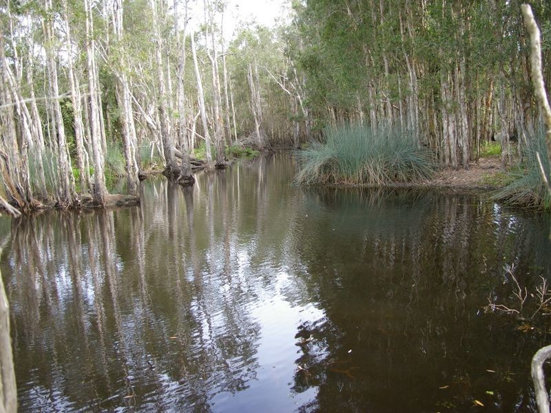 42 Flowers Rd, Caboolture QLD 4510