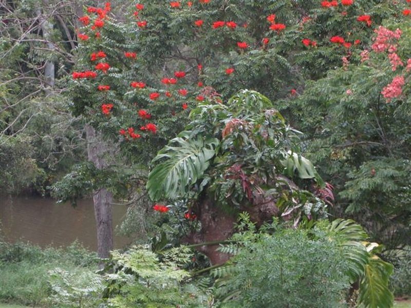 24 Bellview St, Caboolture QLD 4510