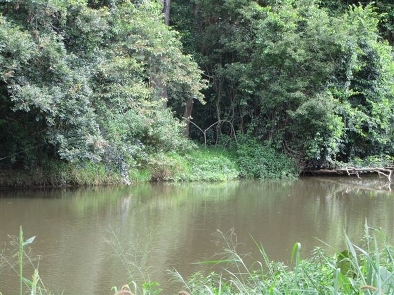 24 Bellview St, Caboolture QLD 4510