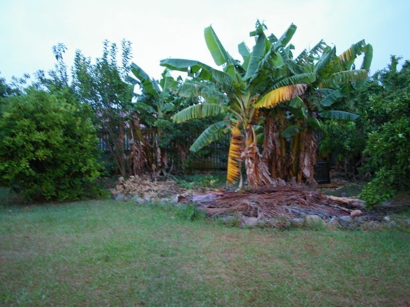Caboolture QLD 4510