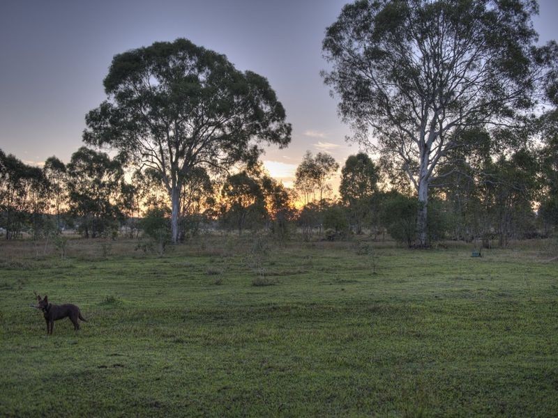 195 Meldale Rd, Meldale QLD 4510