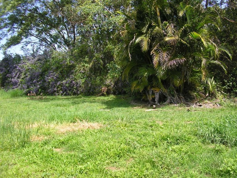 Bellmere QLD 4510
