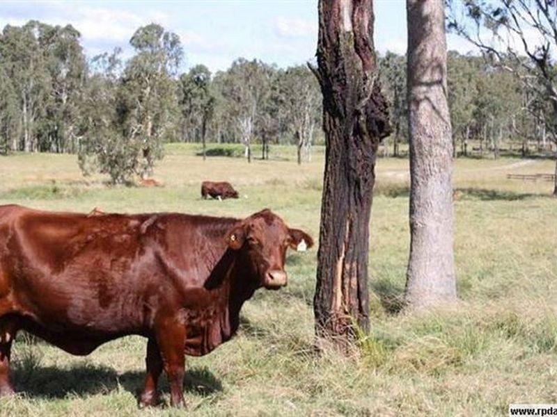 Woodford QLD 4514