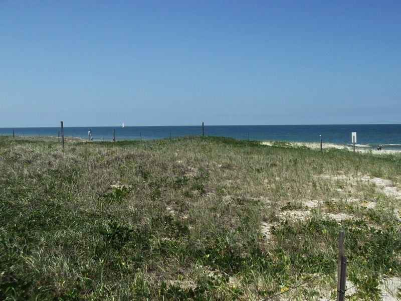 Bribie Island QLD 4507