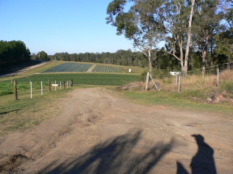 Wamuran QLD 4512