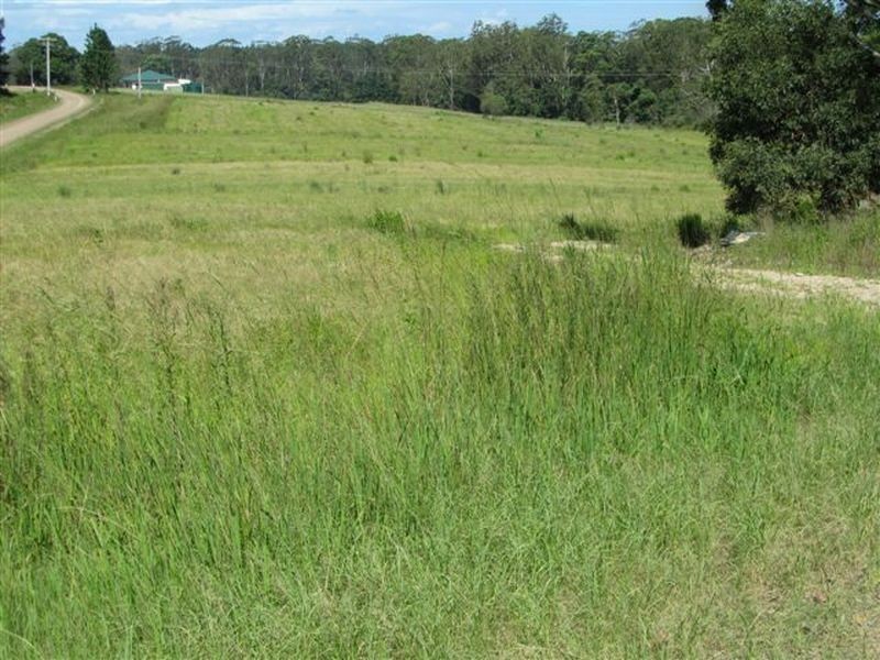 Wamuran QLD 4512