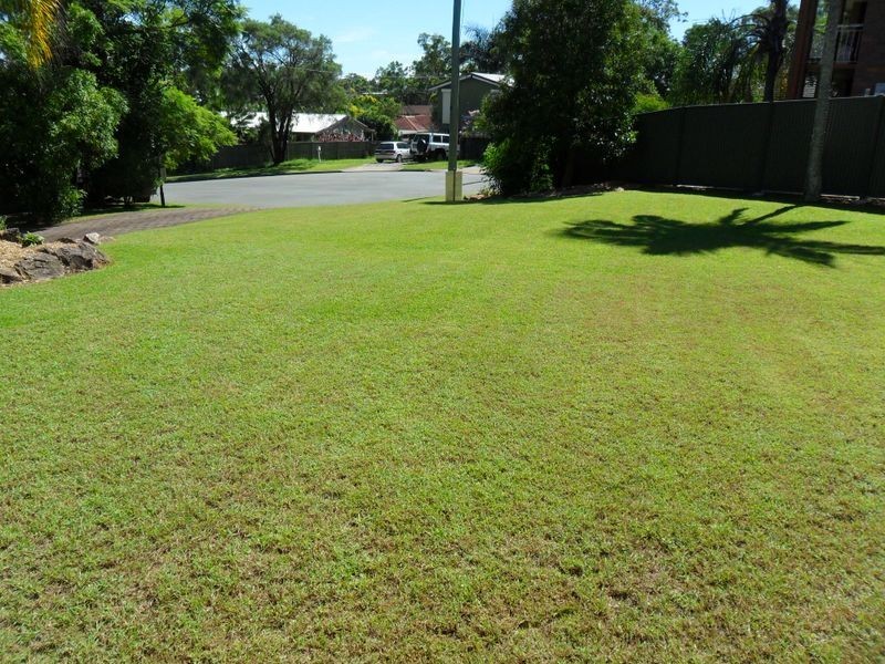 8 Michel Ct, Petrie QLD 4502