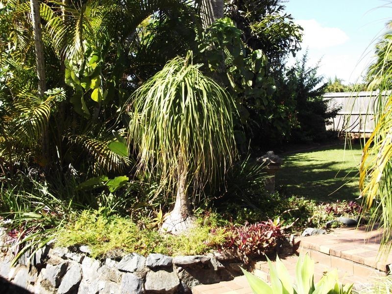 5 Crestleigh Ct, Morayfield QLD 4506