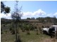 143 Meldale Rd, Meldale QLD 4510