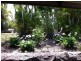 84 Curran St, D’aguilar QLD 4514
