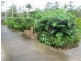 84 Curran St, D’aguilar QLD 4514