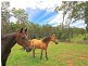 47 Derrick Rd, Wamuran QLD 4512