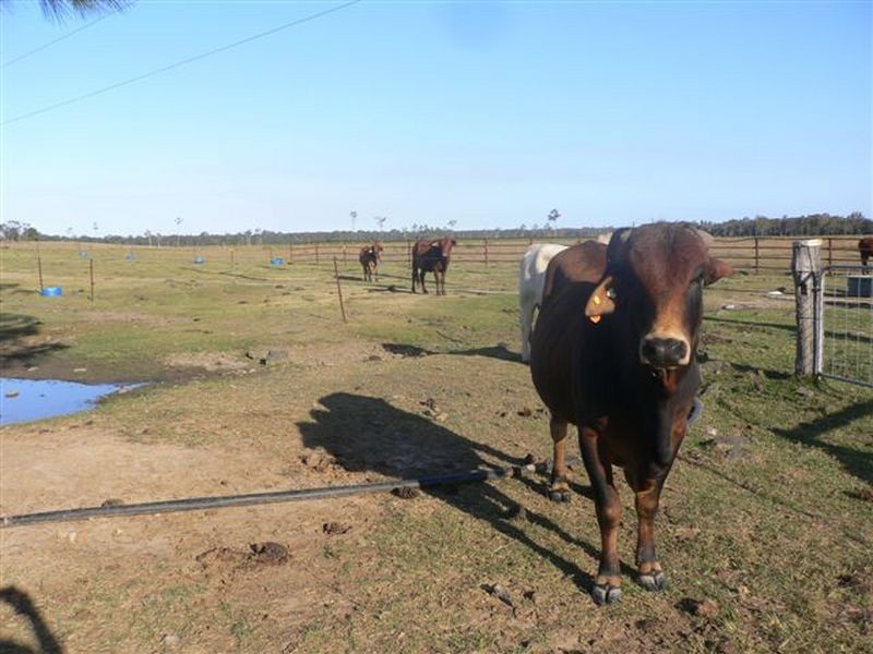 Caboolture QLD 4510