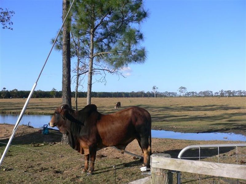 Caboolture QLD 4510