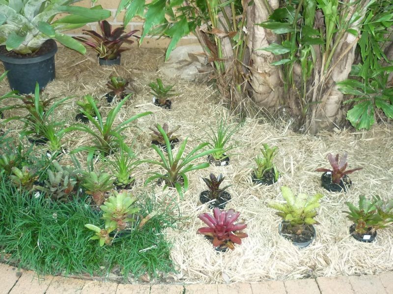 29 Spire Street, Caboolture QLD 4510