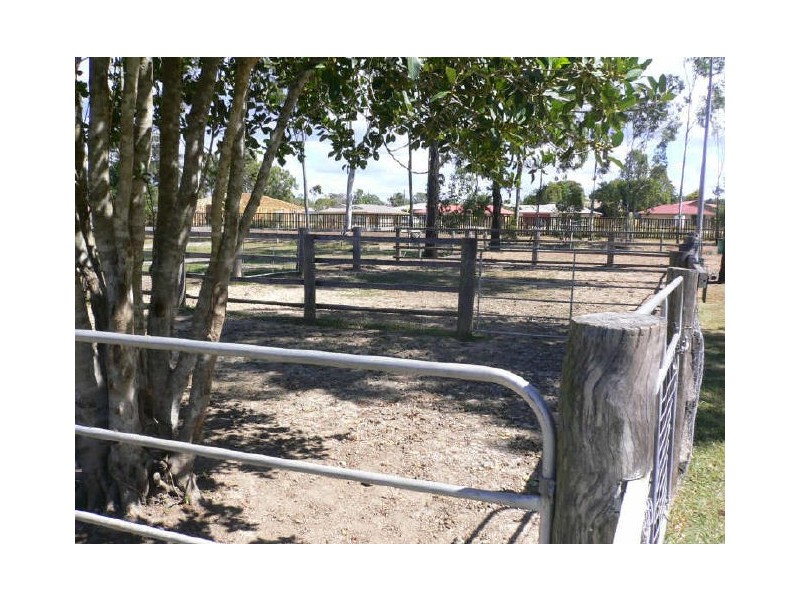 126 Buchanan Road, Morayfield QLD 4506