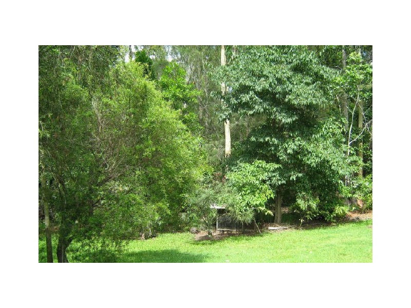 119 McClintock Street, Wamuran QLD 4512