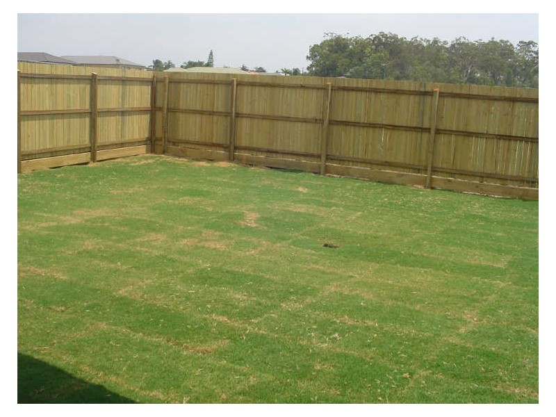 15 Lomandra Drive, Morayfield QLD 4506