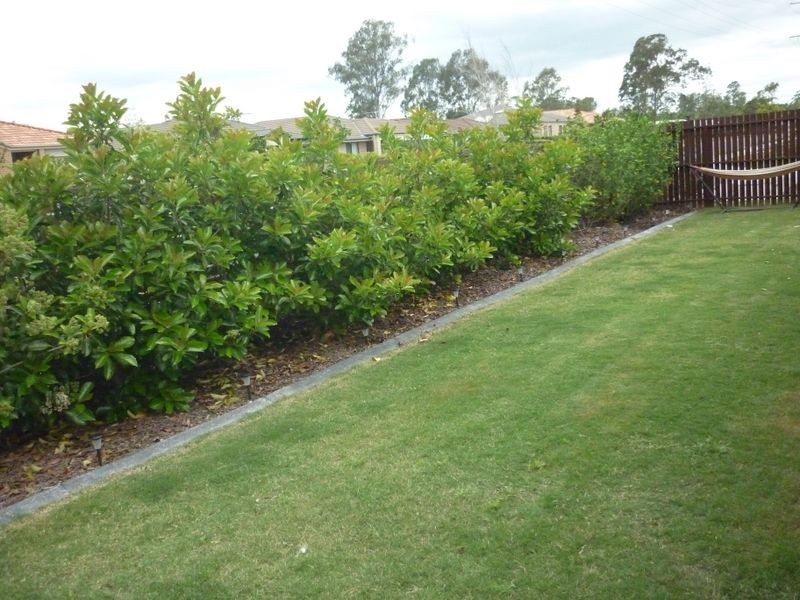 2 Hollywood Avenue, Bellmere QLD 4510