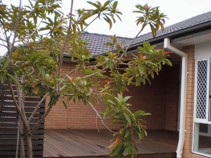 19 Schipper Court, Caboolture QLD 4510
