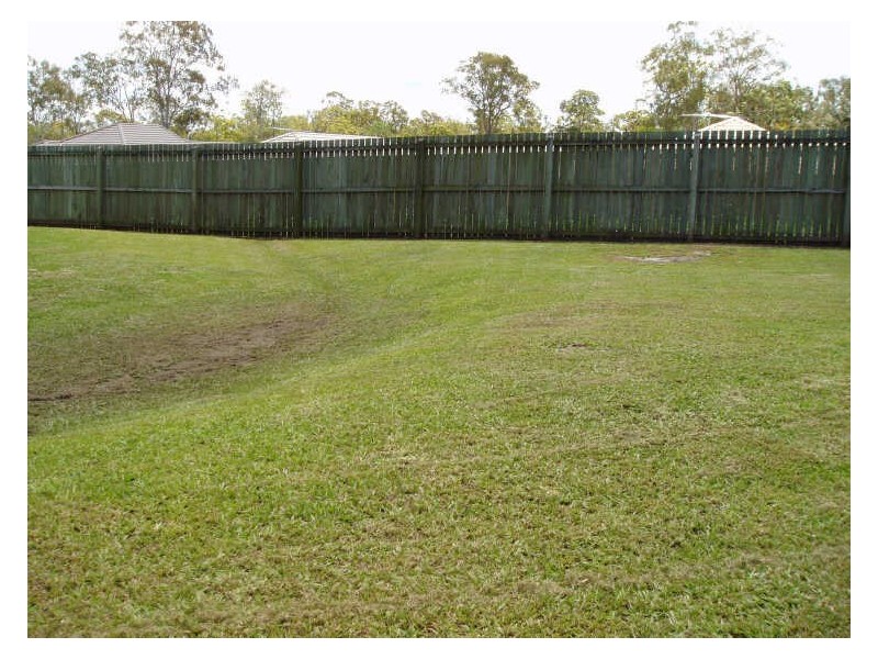 13 Brownia Court, Morayfield QLD 4506