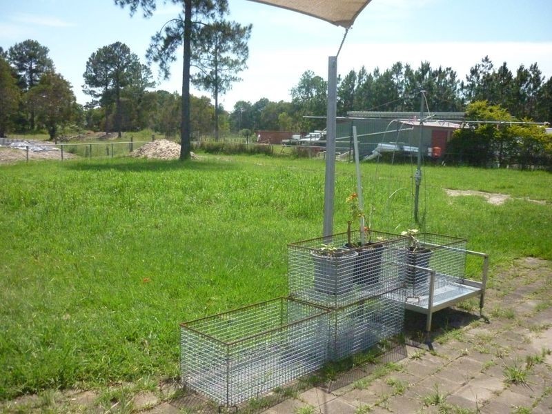 22 Goshawk Court, Caboolture QLD 4510