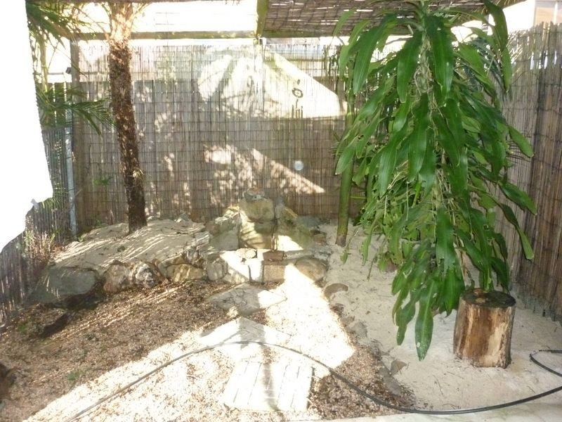 21 Grigor St, Caboolture QLD 4510