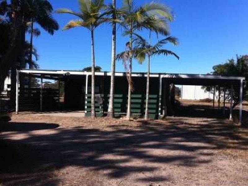 31 Conifer Street, Morayfield QLD 4506