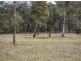 Morayfield QLD 4506