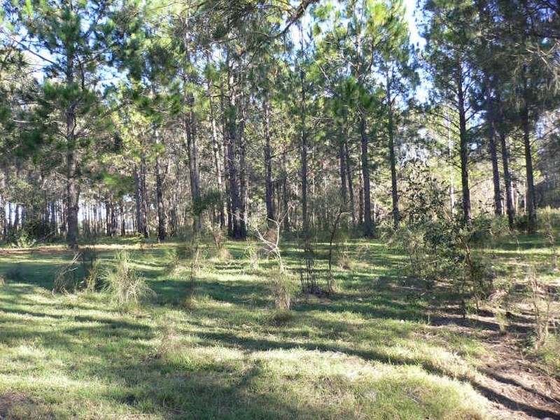 Caboolture QLD 4510