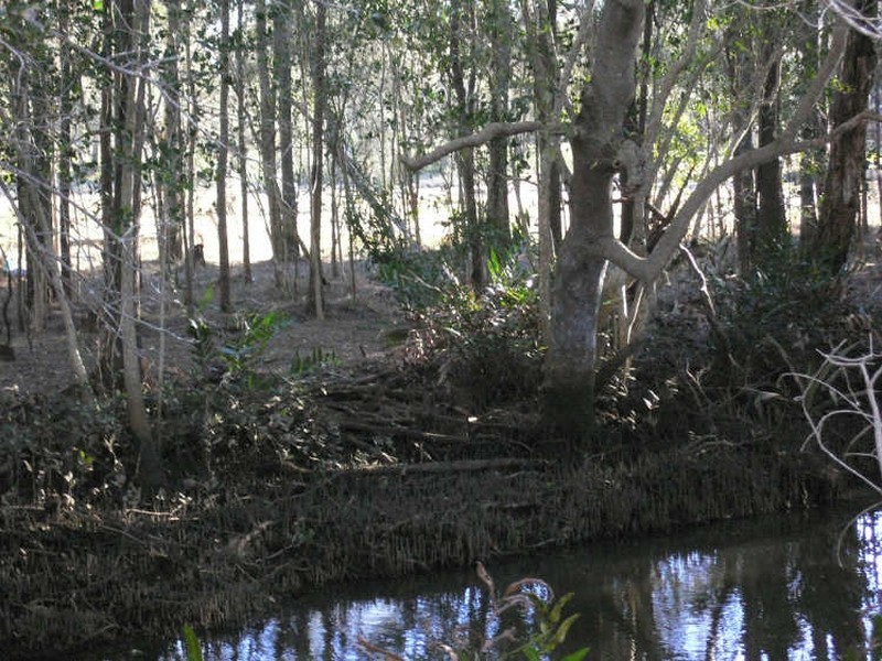 Caboolture QLD 4510