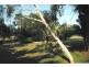 Upper Caboolture QLD 4510