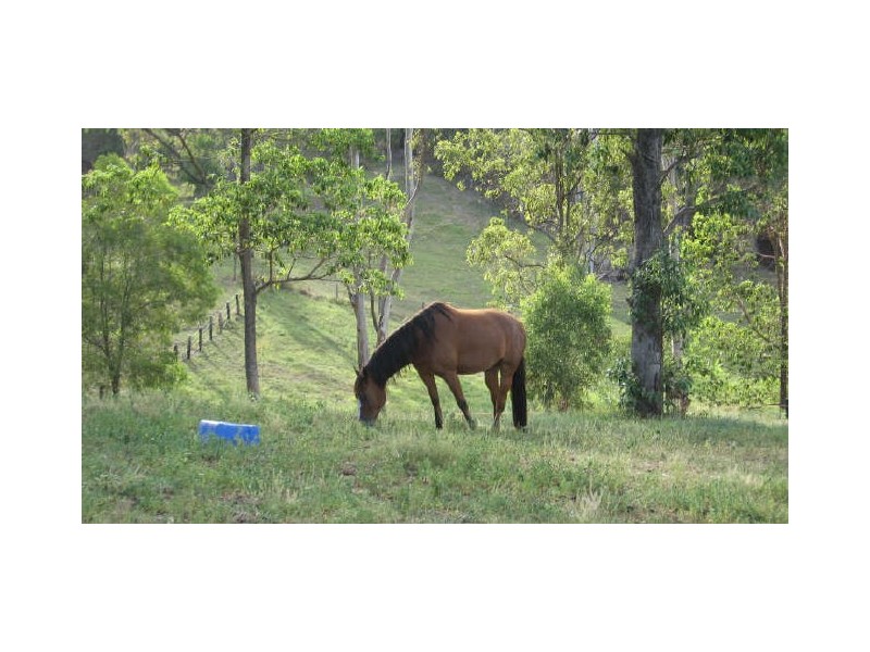 Delaneys Creek QLD 4514