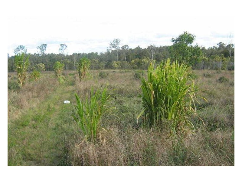 Caboolture QLD 4510