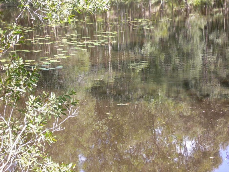 Wamuran QLD 4512