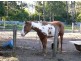 Burpengary QLD 4505