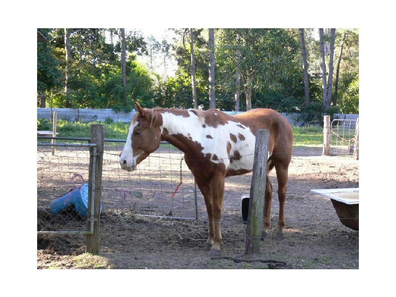 Burpengary QLD 4505